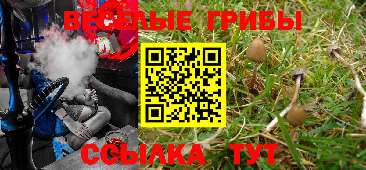 Галлюциногенные грибы Magic Shrooms  Вход с VPN  Арсеньев 